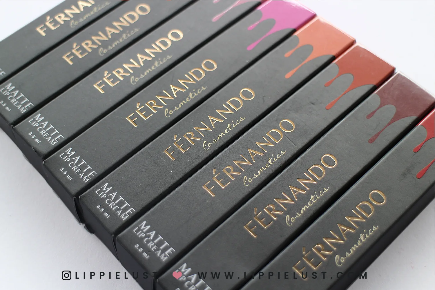 FERNANDO LIPPIELUST 11