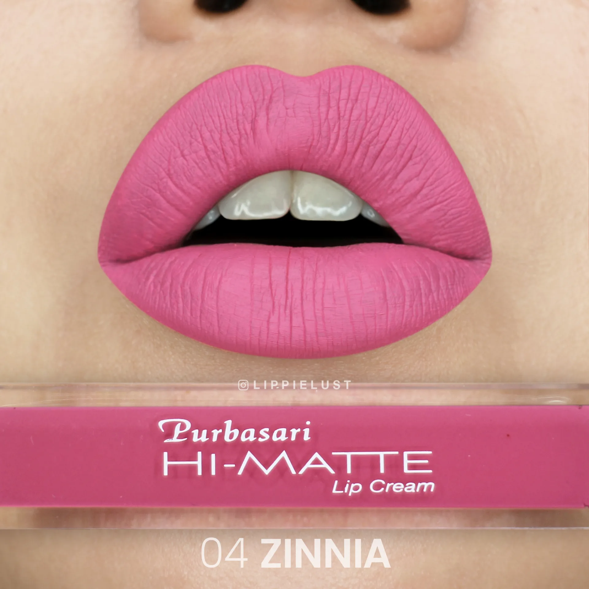 04 ZINNIA